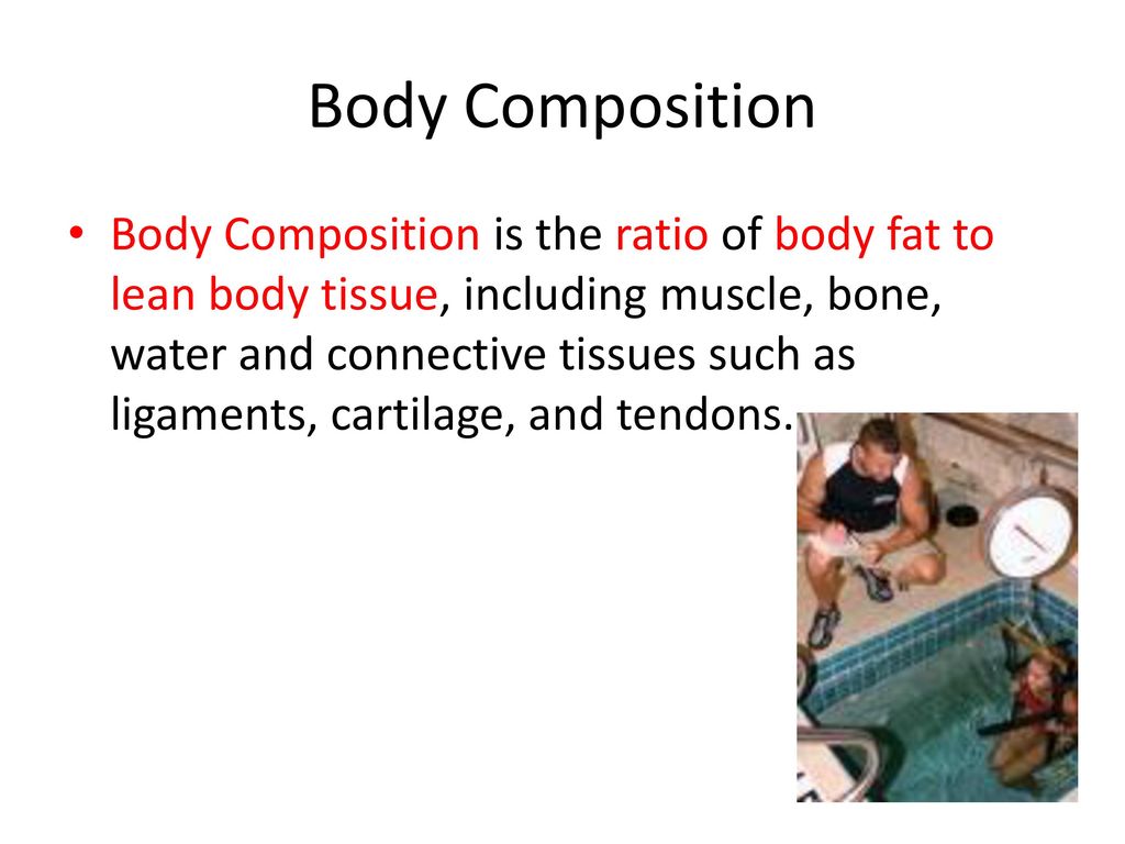 Chapter 4 Lesson 2 Mr. Martin Biology Diagrams