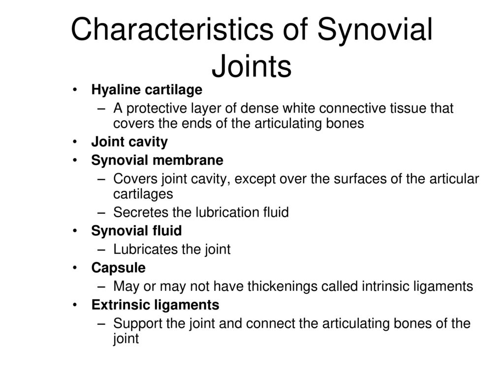 Joints Of The Human Body Ppt Download Joints Of The Human Body Ppt Download