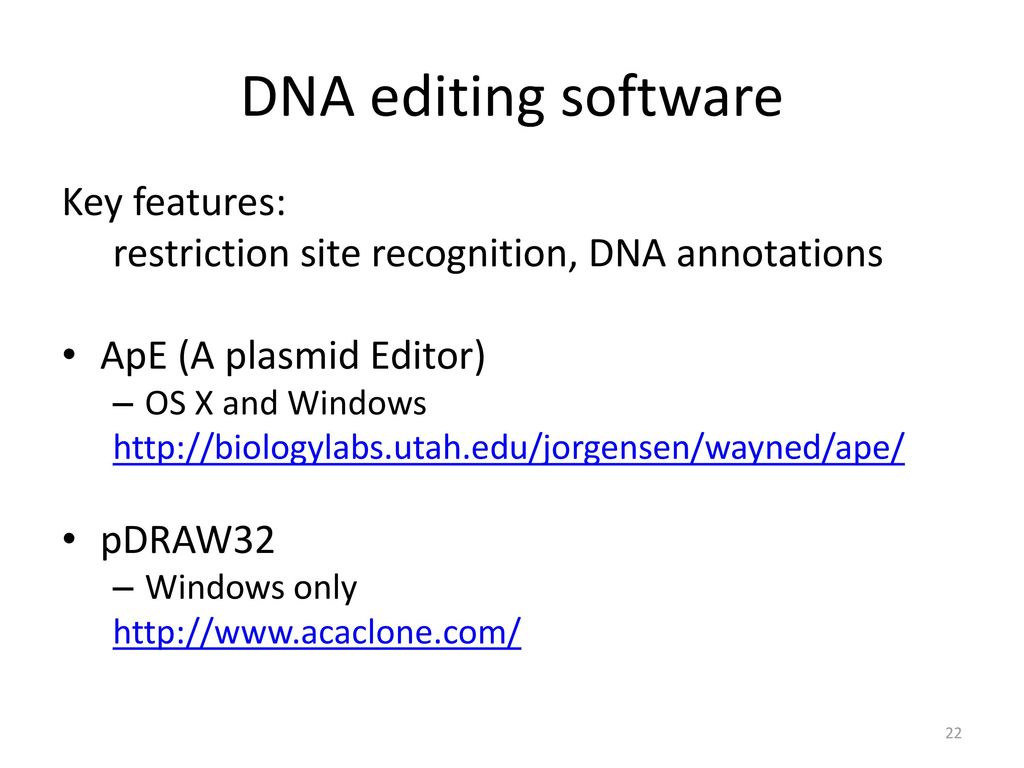 ape dna editor ape dna editor