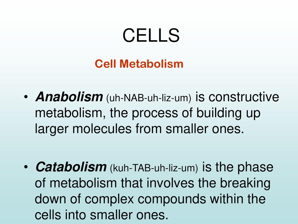 CELLS Cell Metabolism. Anabolism (uh-NAB-uh-liz-um) is constructive metabolism, the process of building up larger molecules from smaller ones.