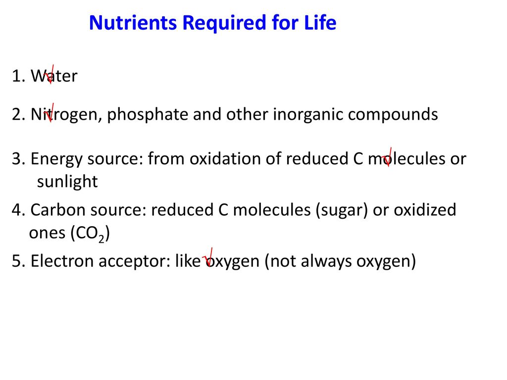 Nutrients Required for Life