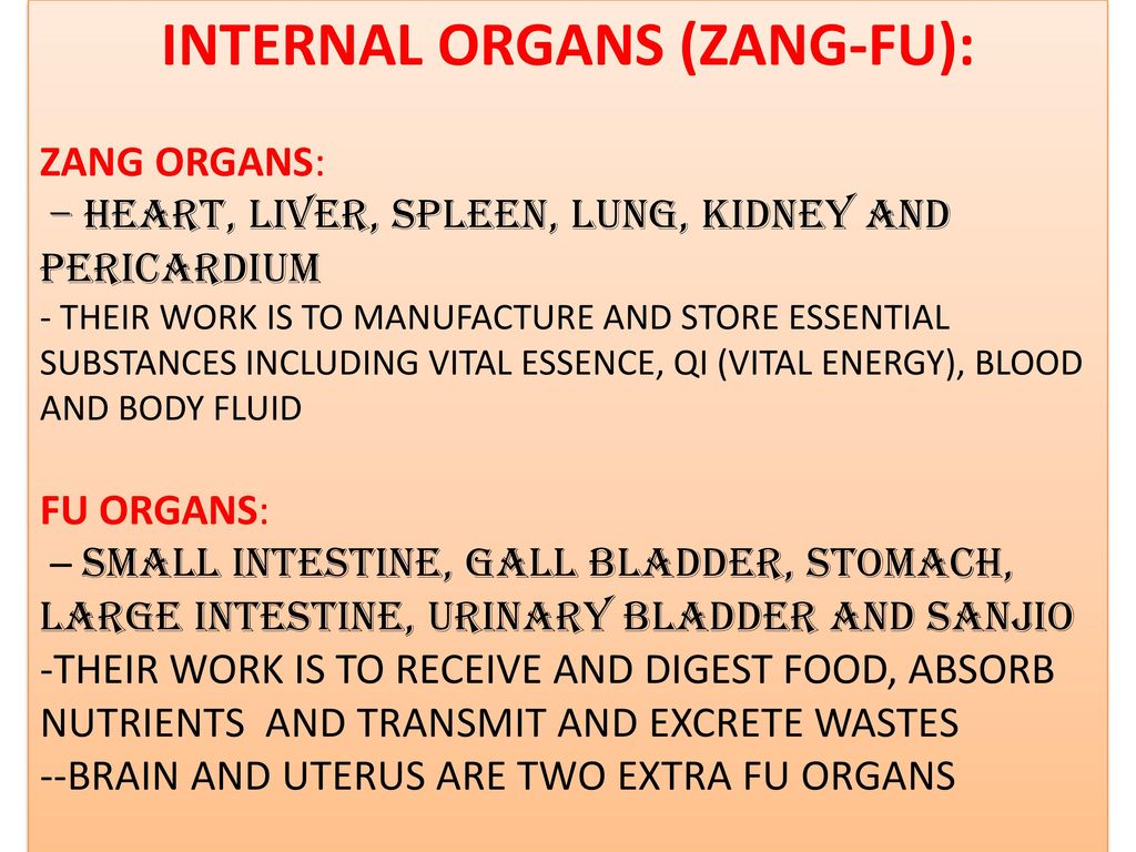 INTERNAL ORGANS (ZANG-FU):