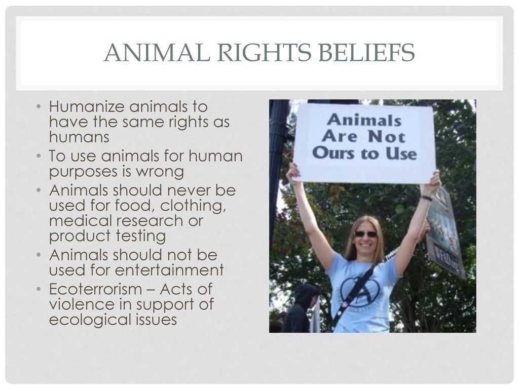 Animal Rights v. Animal Welfare - ppt download Animal Rights v. Animal Welfare - ppt download