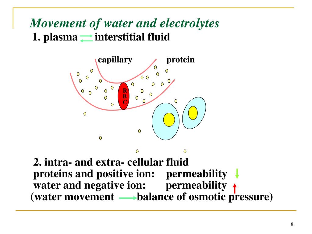 Movement of water and electrolytes 1. plasma interstitial fluid