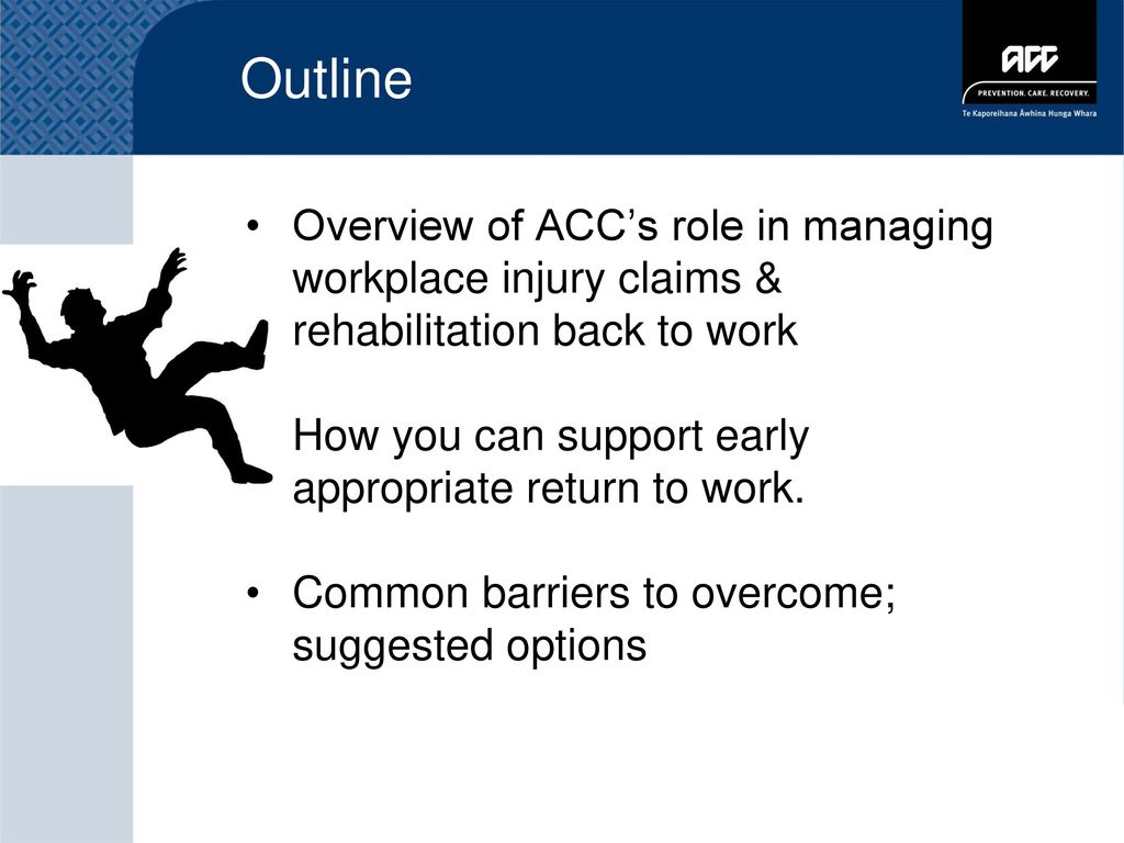 Presentation to Occupational Health Nurses’ Conference ppt download