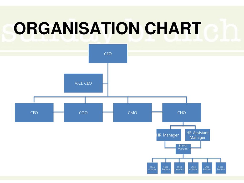 Ceo Coo Org Chart
