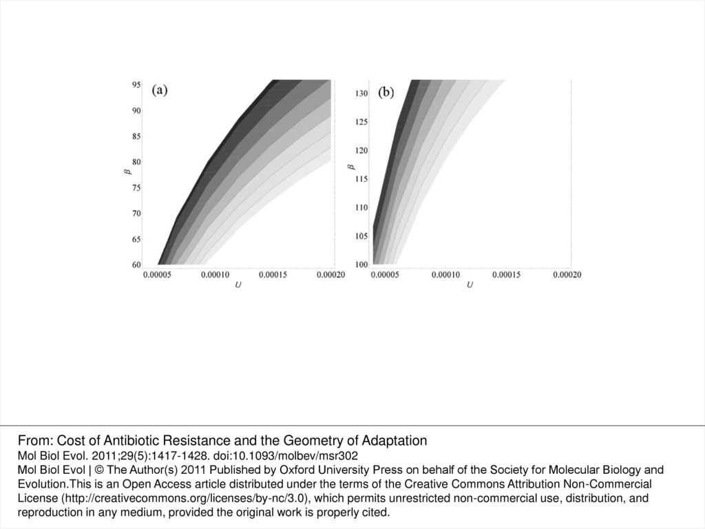 From: Cost of Antibiotic Resistance and the Geometry of Adaptation