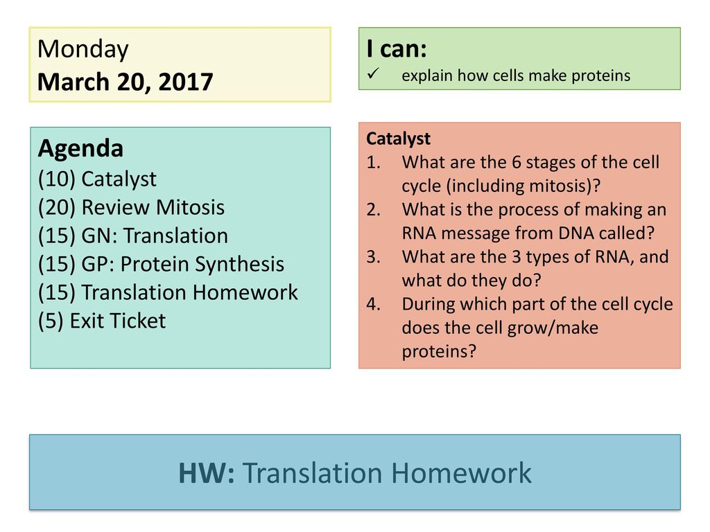 what is homework translation