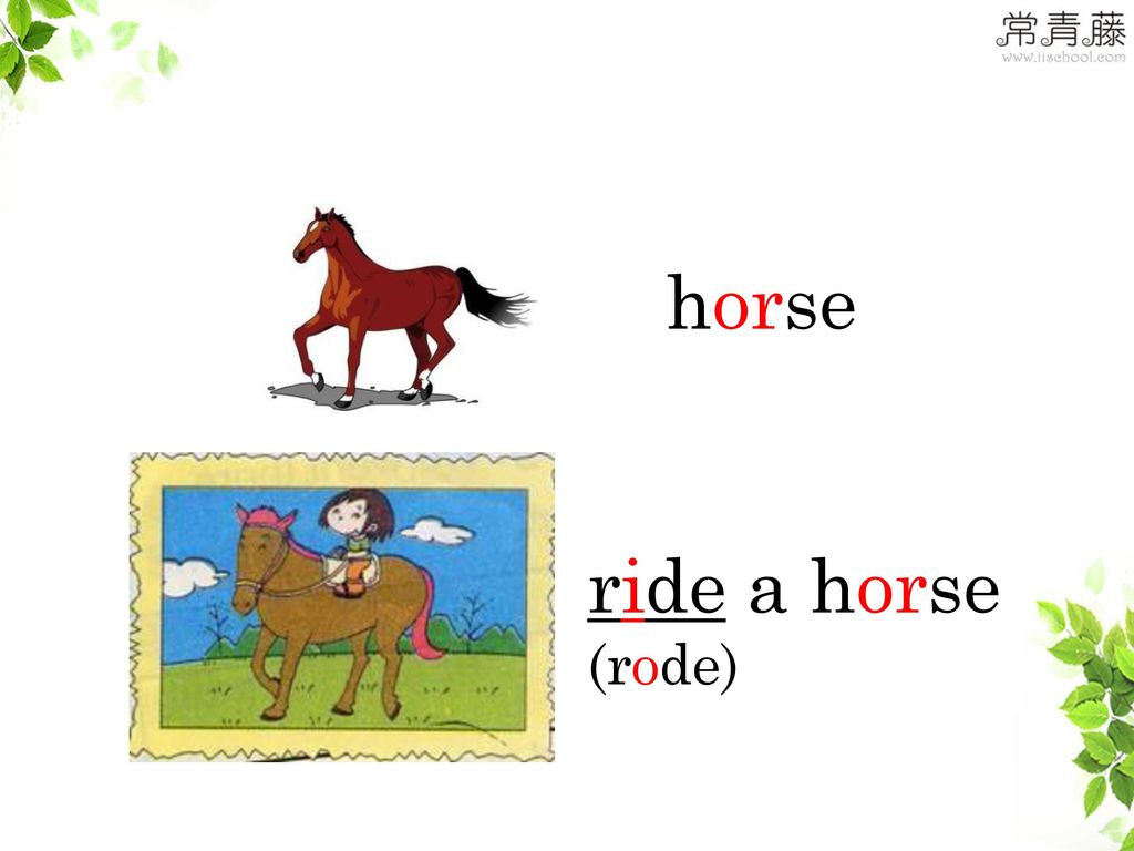 horse ride a horse (rode)