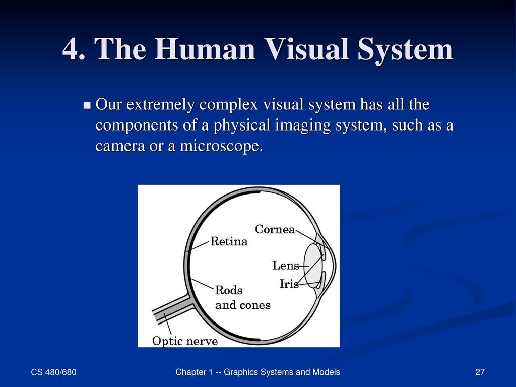 Graphics Systems and Models Biology Diagrams