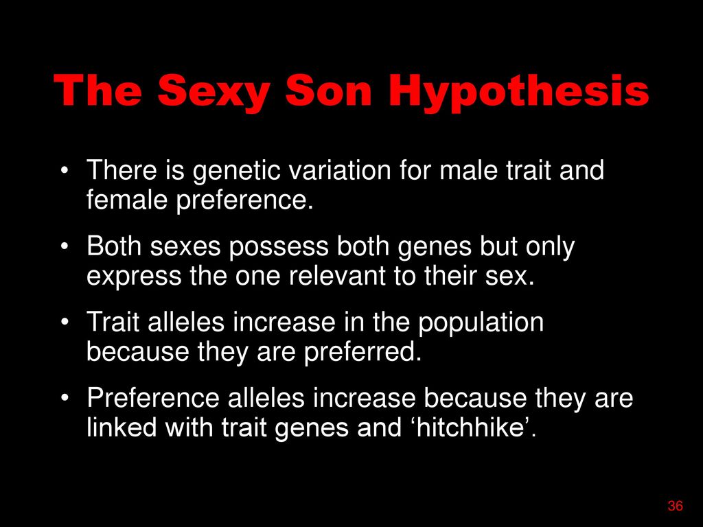 Sexual Selection # 10 Dr. Michael Ryan January 26, ppt download