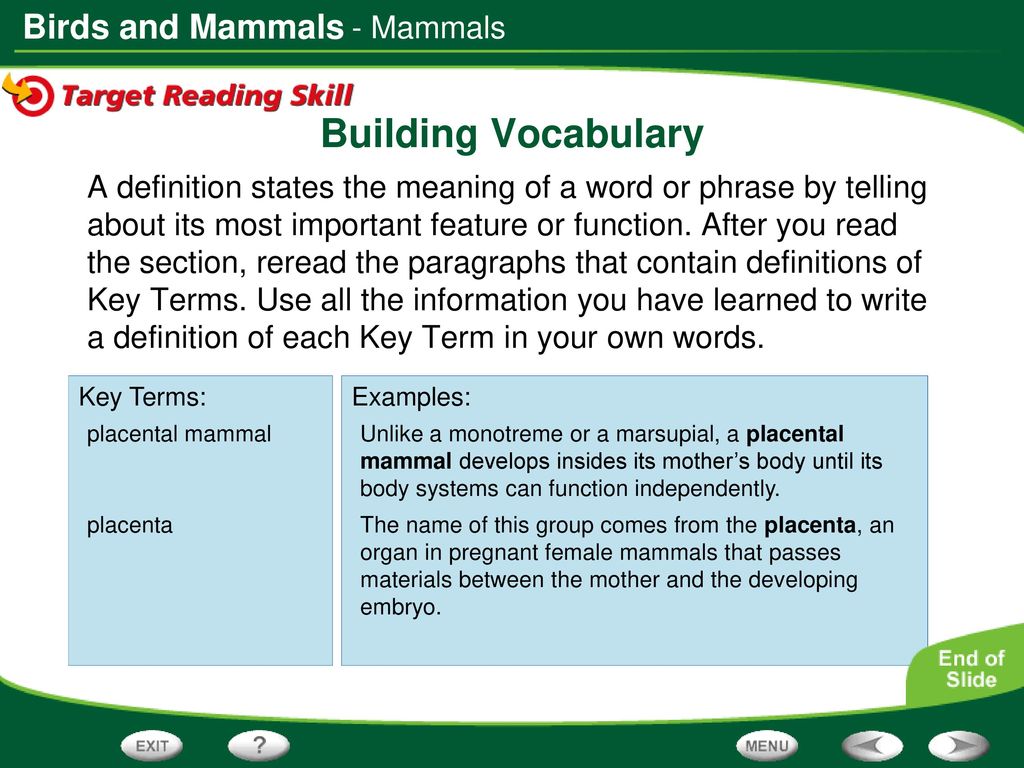 Table of Contents Birds The Physics of Flight Mammals. - ppt download
