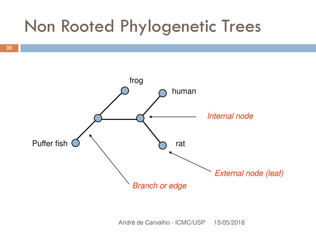 Dilvan Moreira (based on Prof. André Carvalho presentation) - ppt download