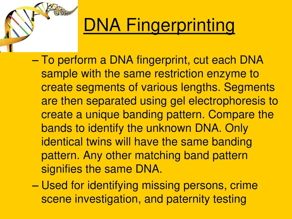 DNA - Biotechnology. - Ppt Download