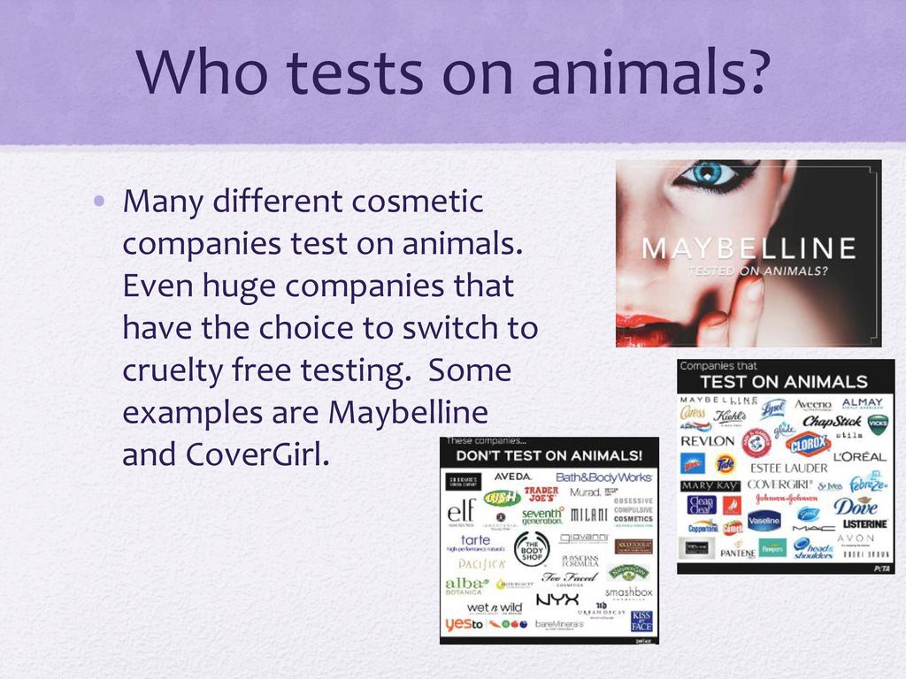 Animal Testing and its Horrors - ppt download