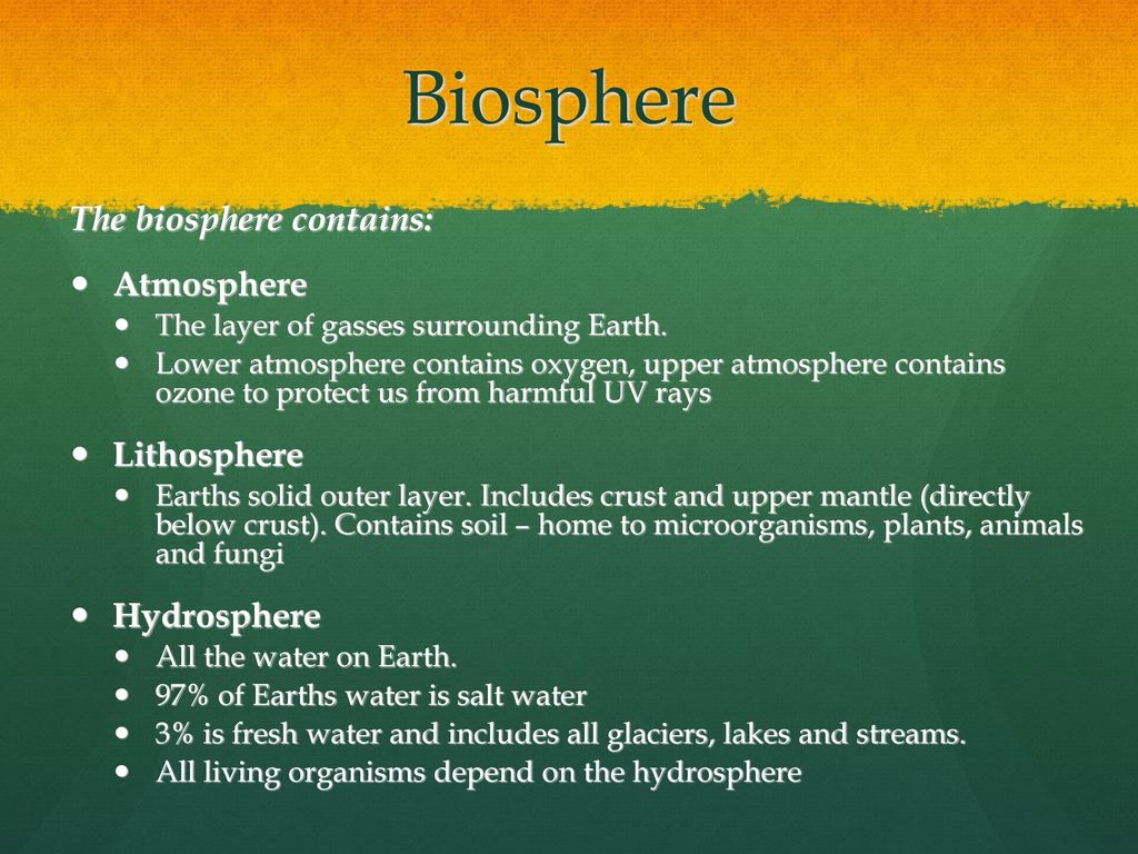 Introduction to Ecology - ppt download