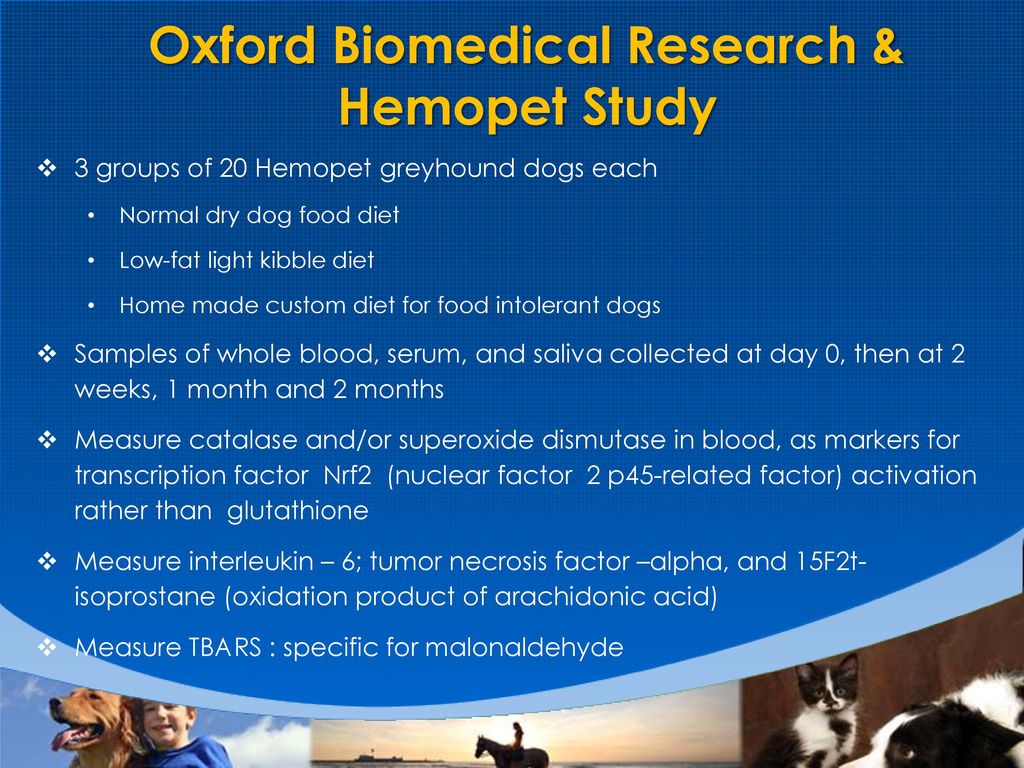 Oxford Biomedical Research & Hemopet Study