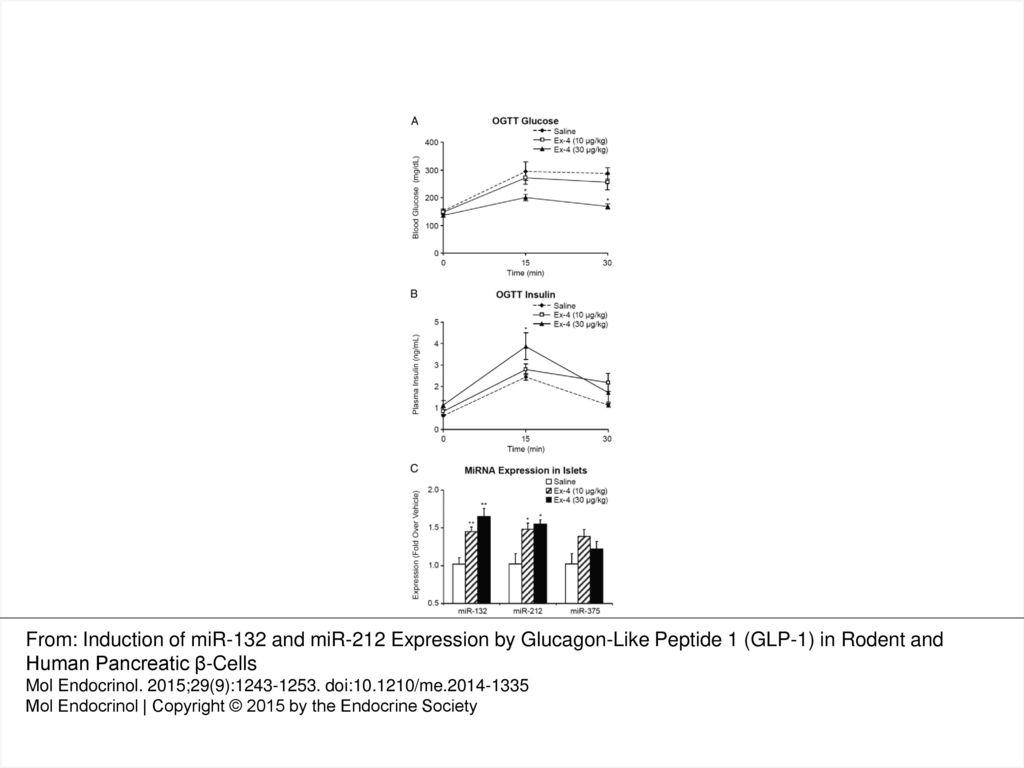 Figure 2. Infusion of Ex-4 in mice improves glucose homeostasis and increases the expression levels of miRNAs 132 and 212 in pancreatic islets. C57Bl/6N lean mice were infused with Ex-4 (10 or 30 μg/kg·d) or saline through sc implanted osmotic minipumps. Glucose (A) and insulin (B) levels were measured during an OGTT after Ex-4 infusion. C, Pancreatic islets were isolated after Ex-4 infusion for RNA extraction. miRNAs 132, 212, and 375 were determined by TaqMan PCR. Data are the mean ± SE of 5 mice per group. One-way ANOVA followed by Dunnett s post hoc test was performed for the 2 Ex-4-treated and the saline groups; *, P < .05; **, P < .01 as compared with the saline group.