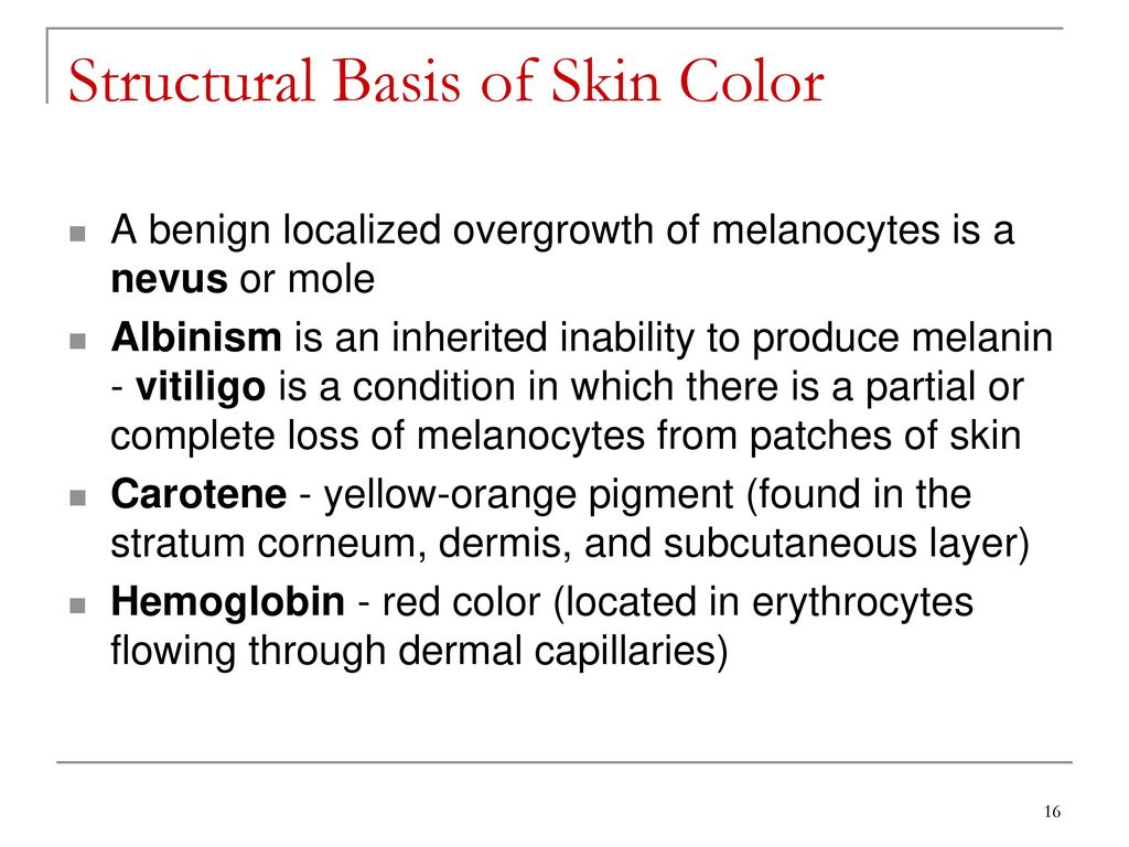 the-integumentary-system-ppt-download