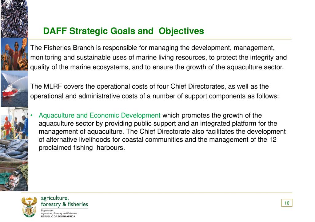 DAFF Strategic Goals and Objectives