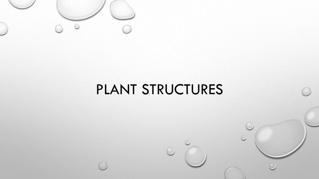 Plant structures