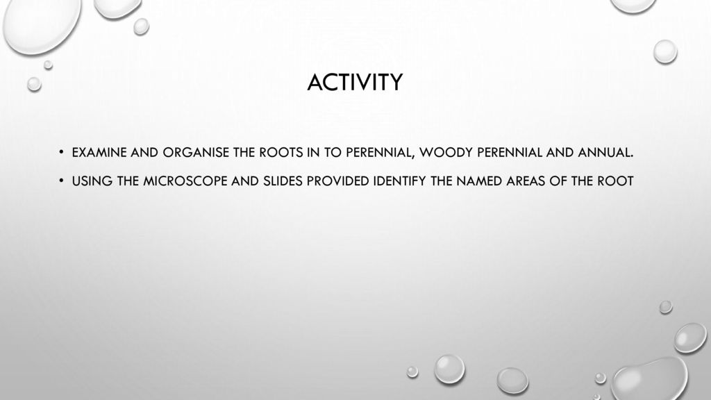 Activity Examine and organise the roots in to perennial, woody perennial and annual.