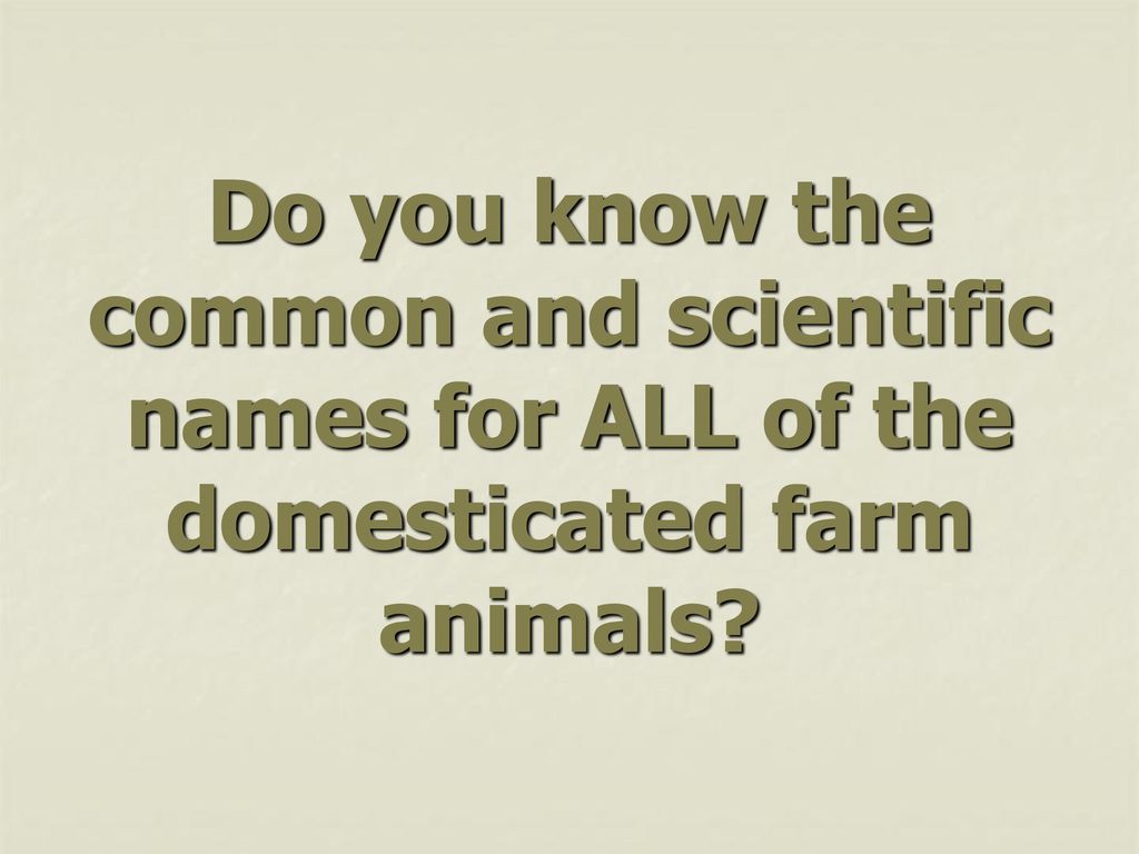 Animal Science Terminology - ppt download