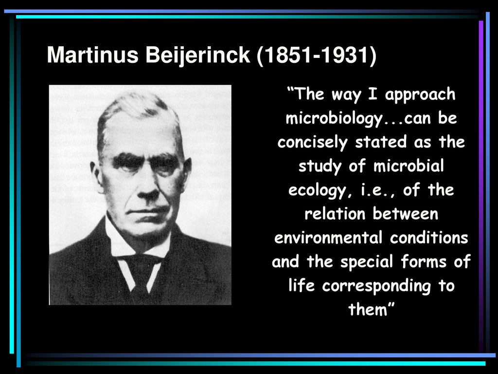 Martinus Beijerinck Contribution To Microbiology