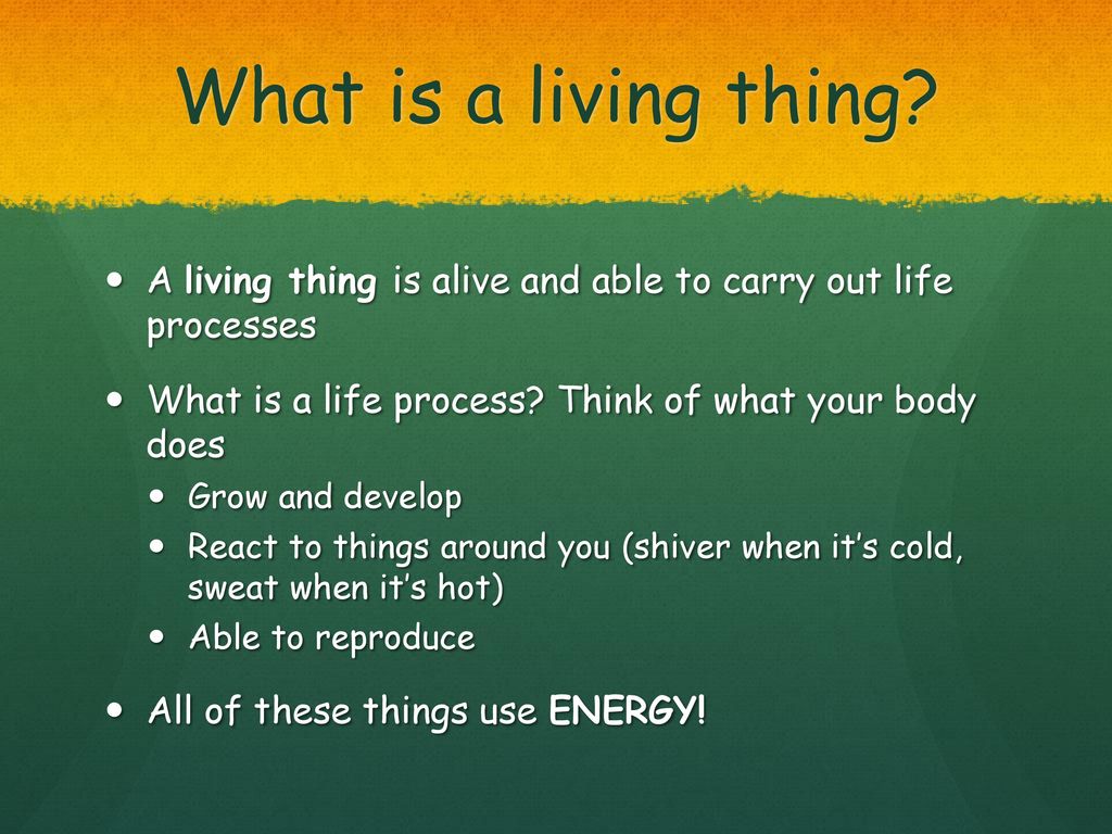 What is a living thing A living thing is alive and able to carry out life processes. What is a life process Think of what your body does.