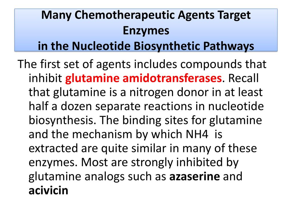 Nucleotide Metabolism - ppt download