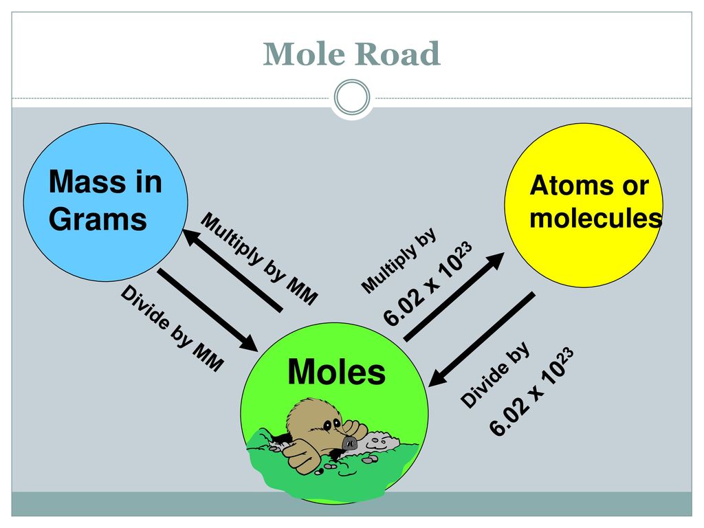 Moles Mole Road Mass in Grams Atoms or molecules 6.02 x 1023