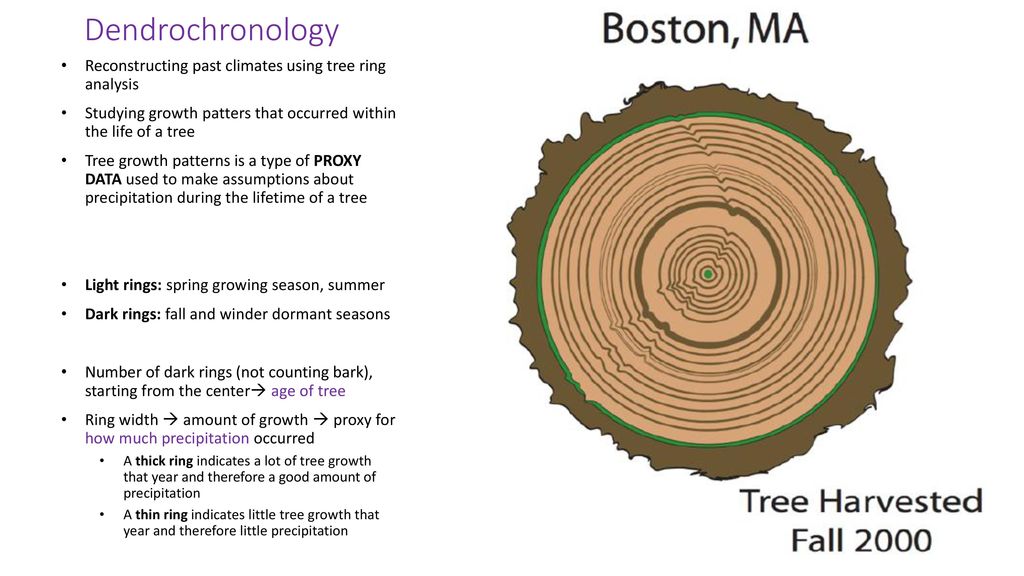 Analyzing Tree Rings to Determine Climate Change - ppt download