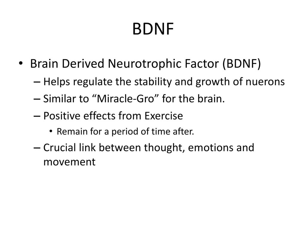 Chapter 5: Brain Development - ppt download