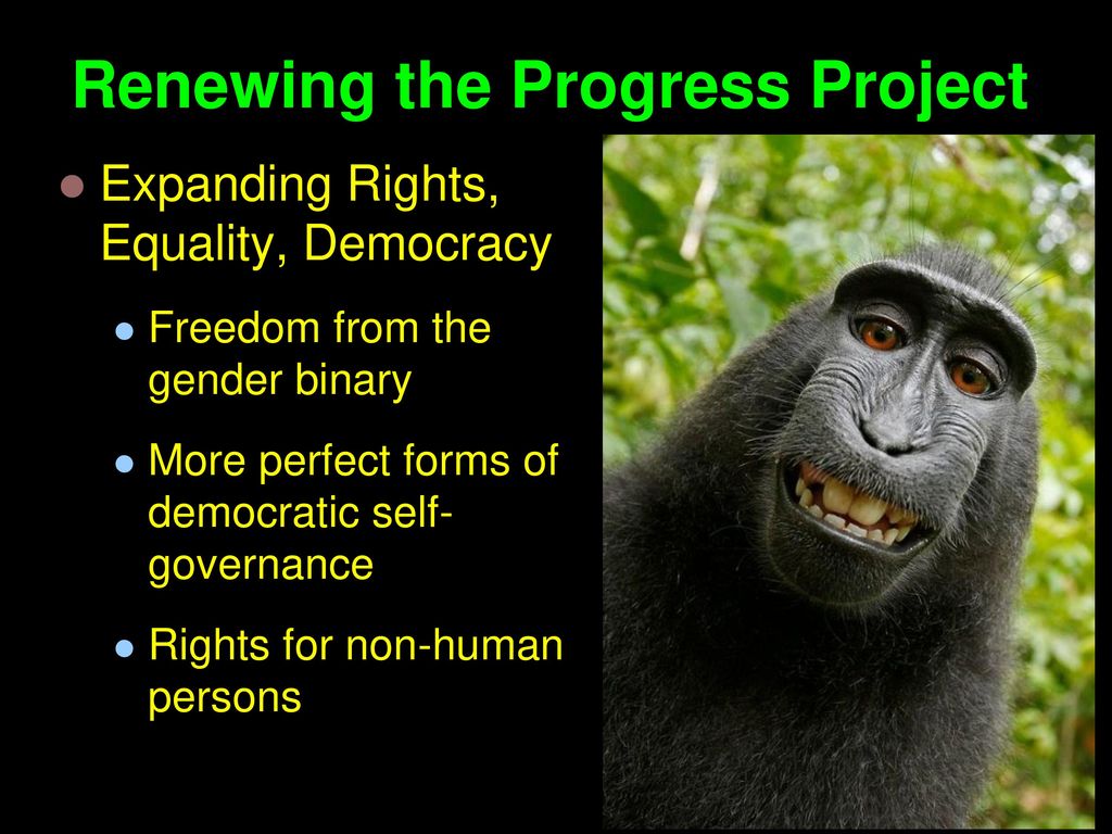 Renewing Our Commitment To Progress Ppt Download