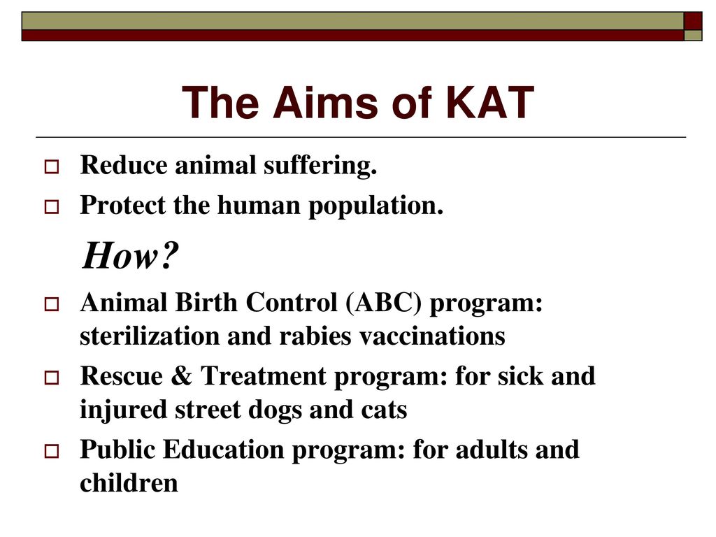 The Aims of KAT How Reduce animal suffering.