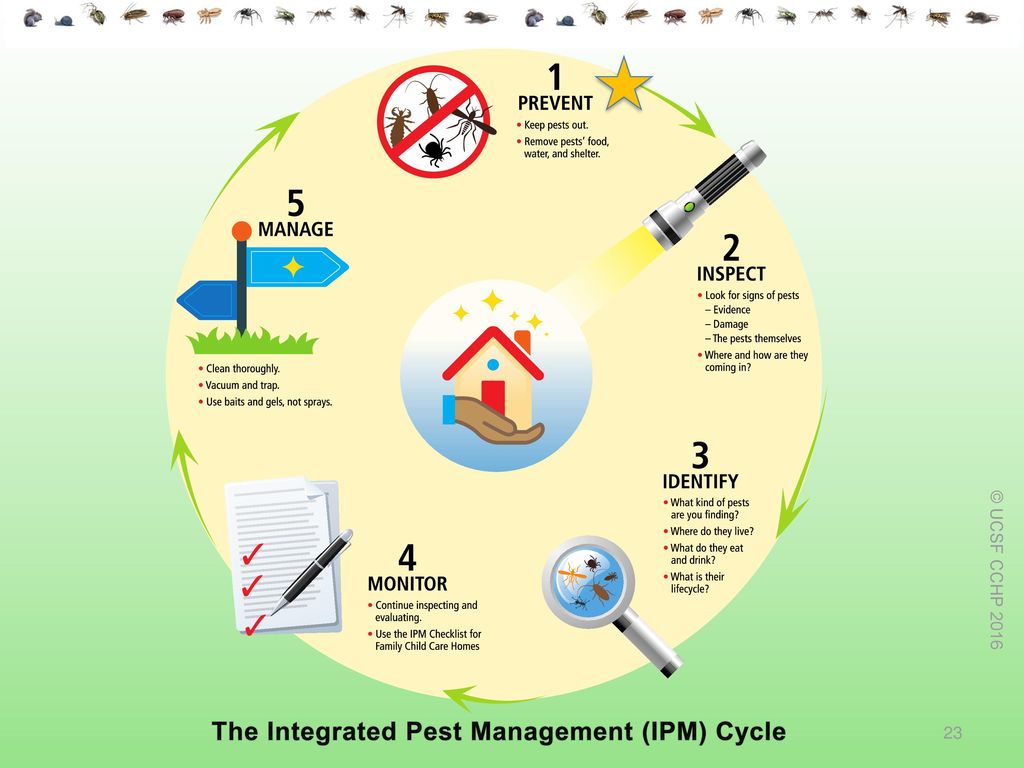 Integrated Pest Management In Family Child Care Homes Ppt Download