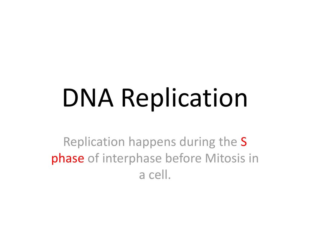 DNA Replication Replication happens during the S phase of interphase ... Biology Diagrams
