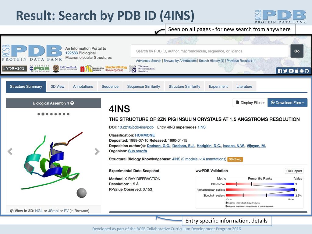 Result: Search by PDB ID (4INS)