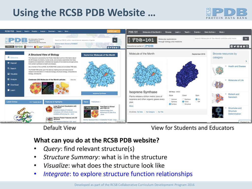 Using the RCSB PDB Website …