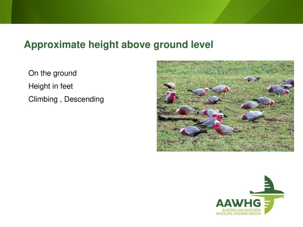 Normal Table Height In Feet Normal Table Height In Feet