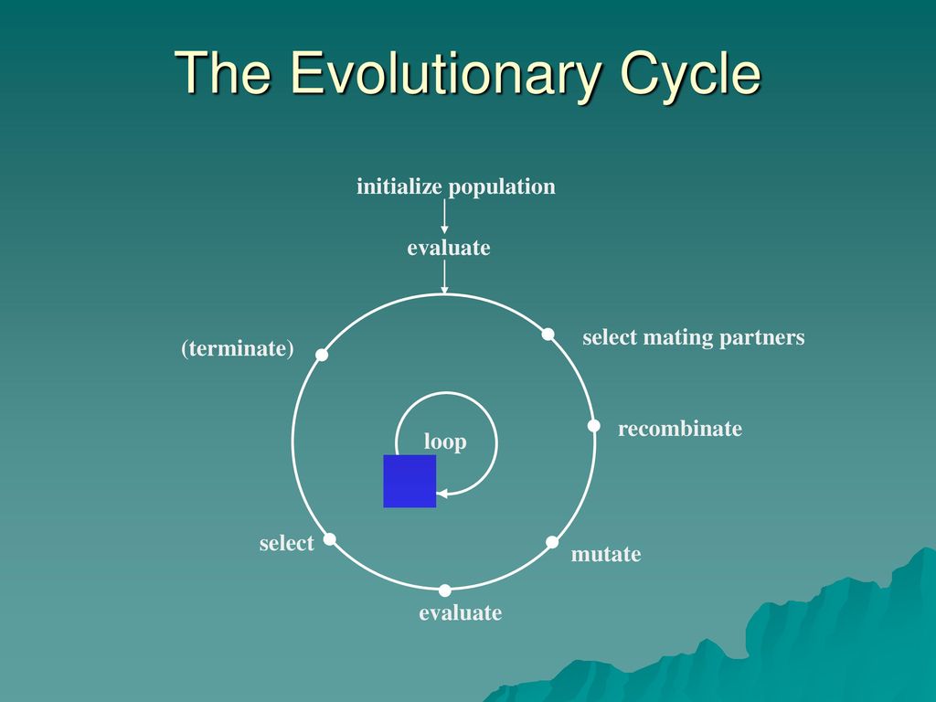 The Evolutionary Cycle