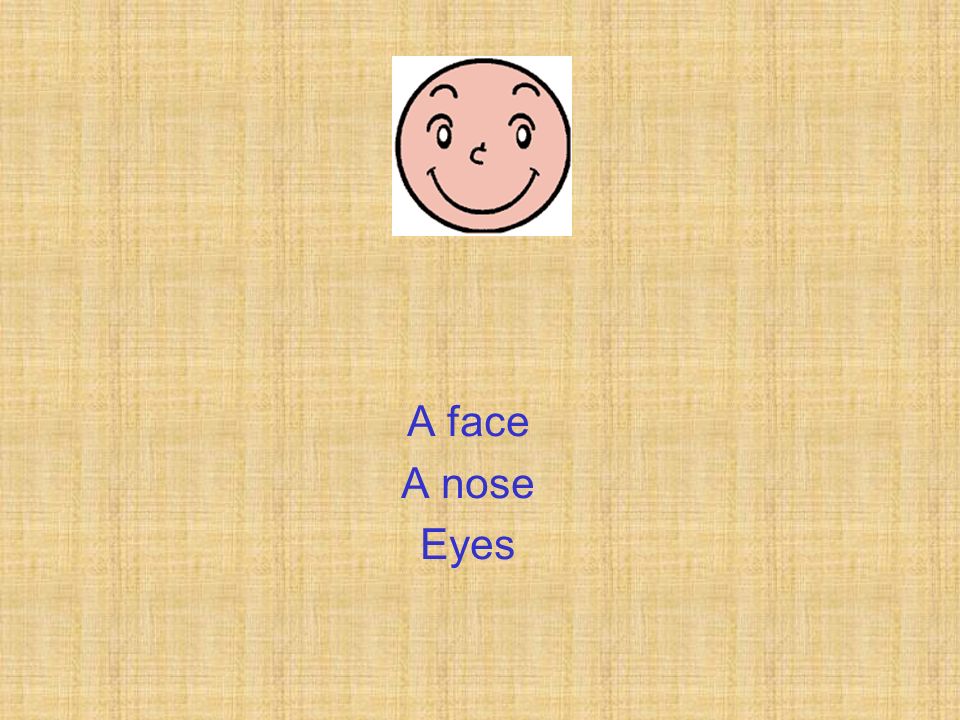 A face A nose Eyes