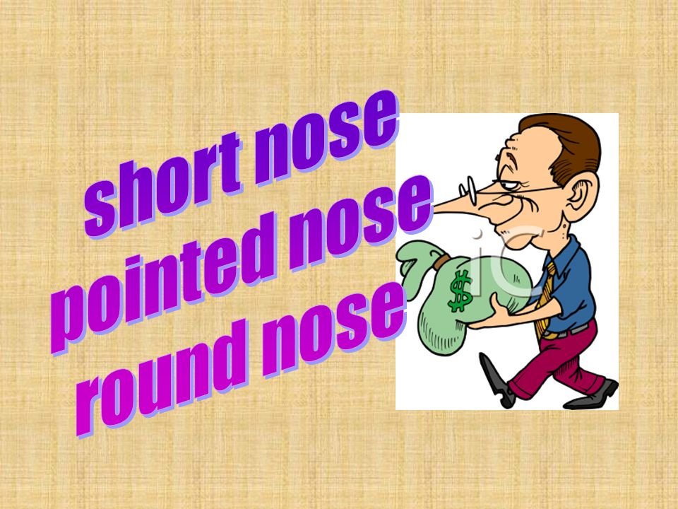 short nose pointed nose round nose
