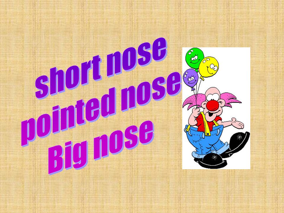 short nose pointed nose Big nose