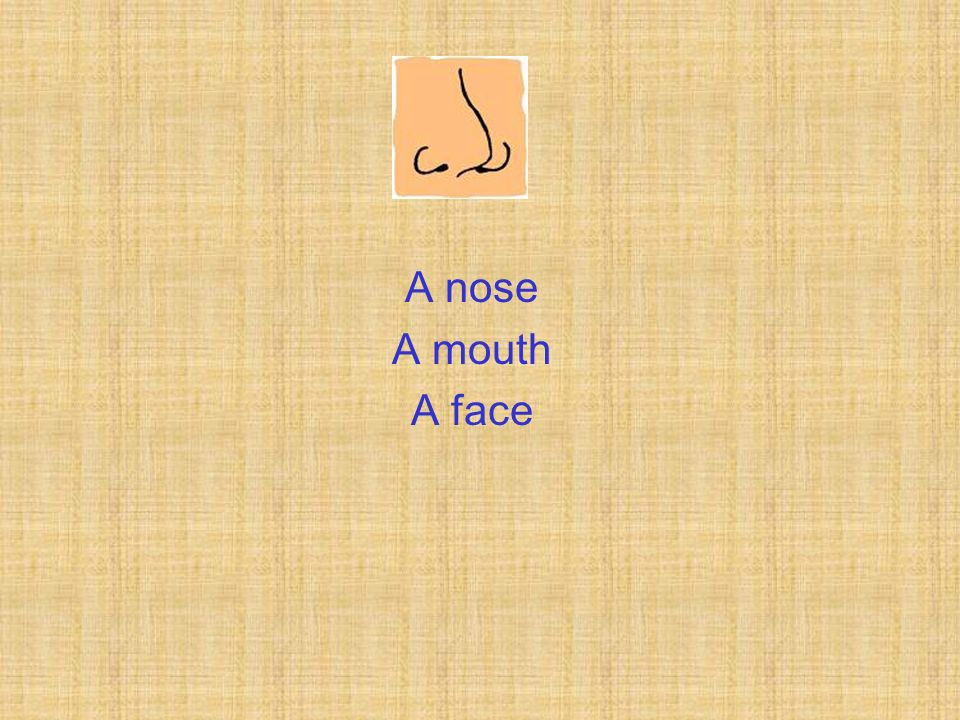A nose A mouth A face