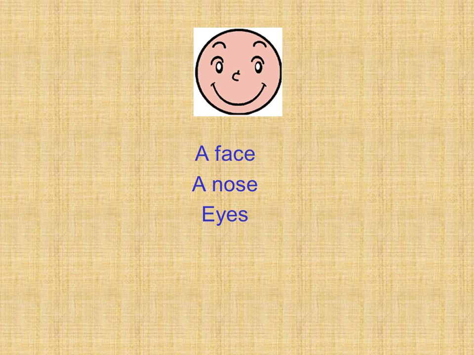 A face A nose Eyes
