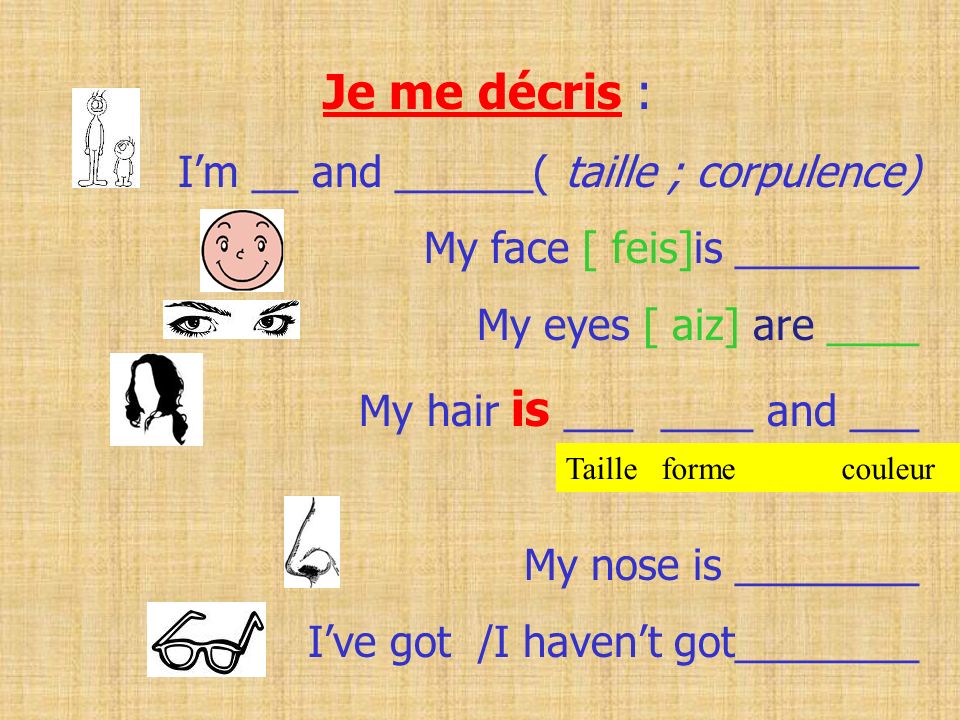 Je me décris : I’m __ and ______( taille ; corpulence)