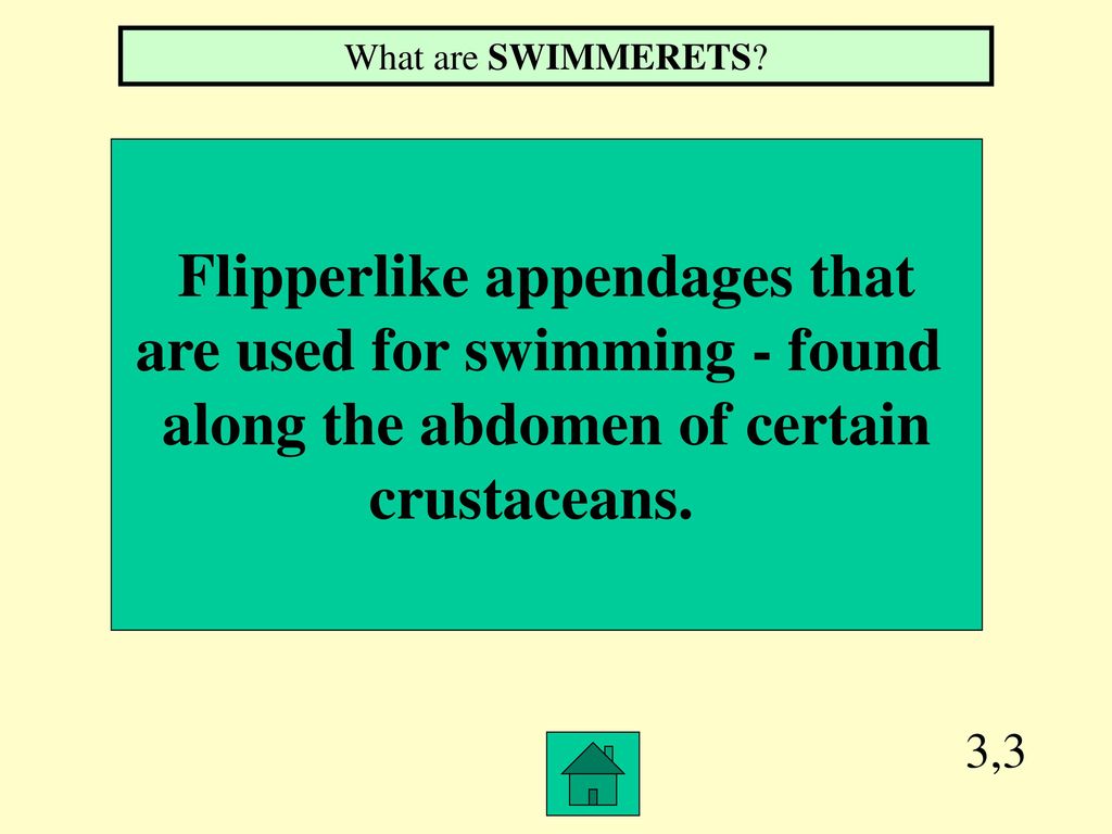 Special Arthropod Edition Hosted by Miss Dell - ppt download