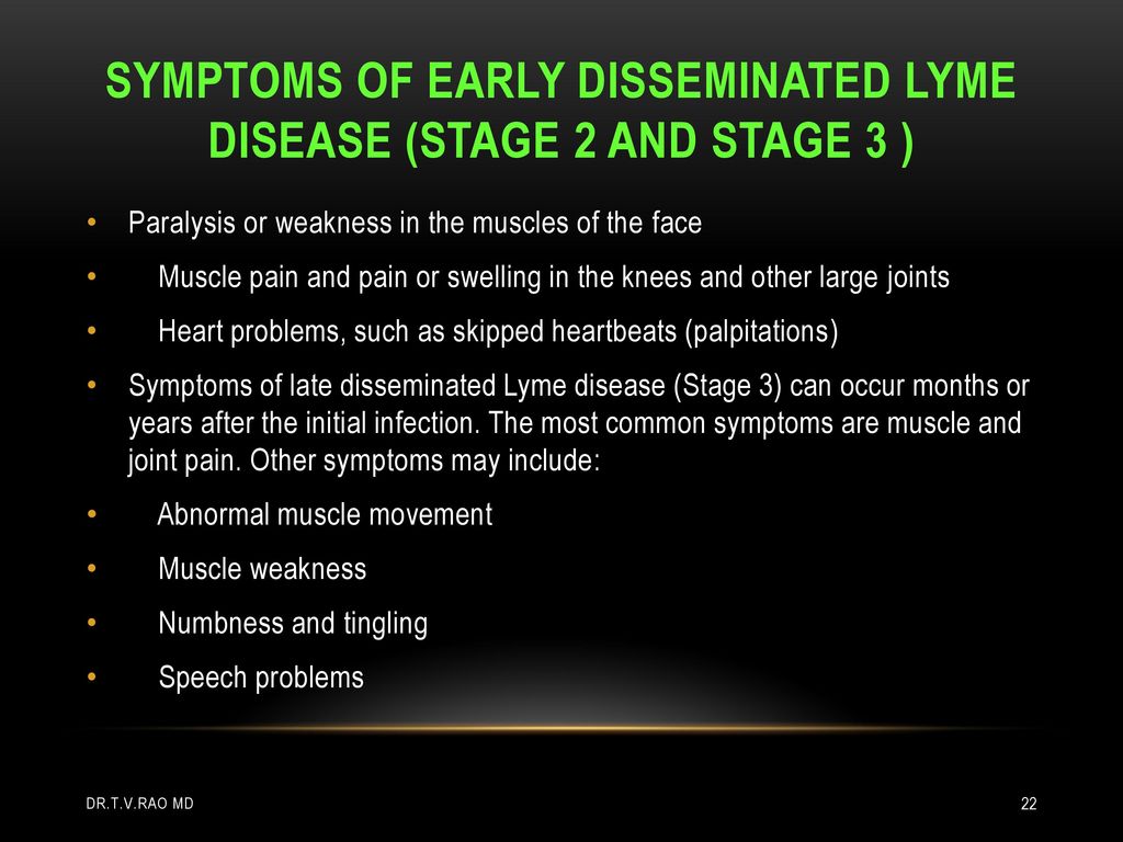 Lyme Disease Borrelia Ppt Download