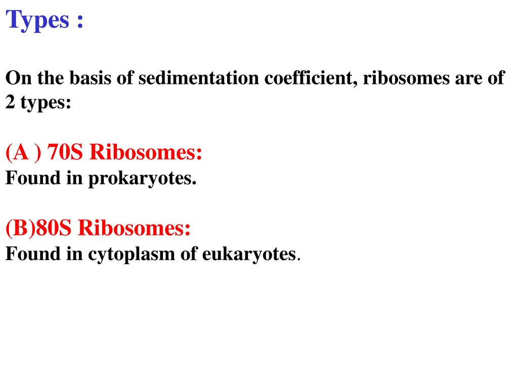 70s 80s ribosomes